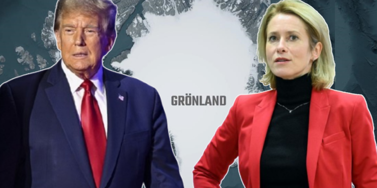 AB'den Trump'a Grönland Yanıtı: Müzakereye Açık Değil