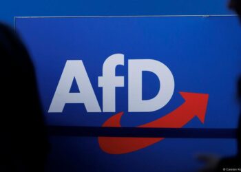 AfD'den gençlik örgütünü sıfırlama kararı