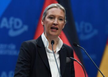 AfD'nin göçmen karşıtı vaatlerle dolu seçim programı: "Sınırlar kapanacak"