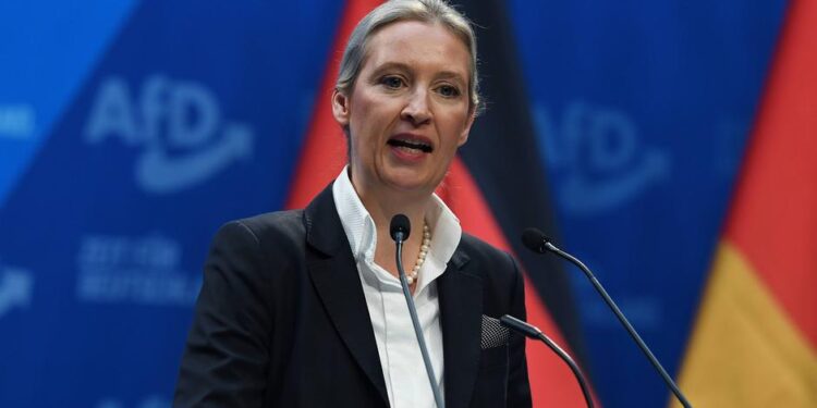 AfD'nin göçmen karşıtı vaatlerle dolu seçim programı: "Sınırlar kapanacak"
