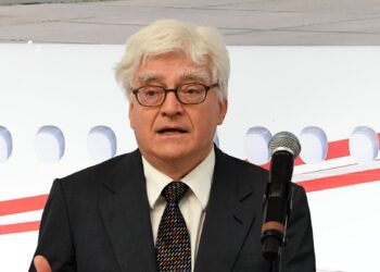 AfD’ye 1,5 milyonluk rekor bağış: Almanya’da siyasi partiler nasıl finanse ediliyor?