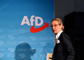 Almanlar gelecekten endişeli, AfD’nin oy oranı yüzde 20’yi geçti