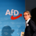 Almanlar gelecekten endişeli, AfD’nin oy oranı yüzde 20’yi geçti