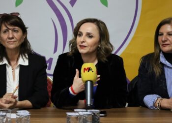 Ayşegül Doğan: Barışı iktidarın insafına bırakamayız, mücadeleyi yükseltmeliyiz