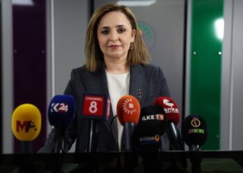 Ayşegül Doğan: Çözüm ihtimali için güvene ihtiyaç var