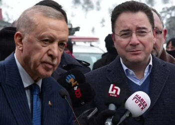 Babacan'dan Cumhurbaşkanı Erdoğan'a 'Bolu' Çağrısı