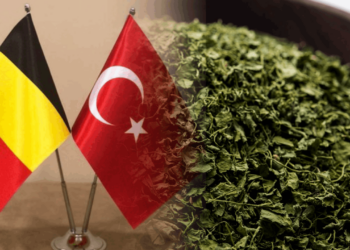 Belçika'nın Türkiye'den Aldığı Kuru Kekikte Kanserojen Madde!