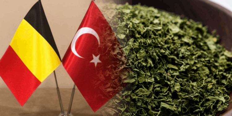 Belçika'nın Türkiye'den Aldığı Kuru Kekikte Kanserojen Madde!