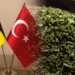 Belçika'nın Türkiye'den Aldığı Kuru Kekikte Kanserojen Madde!