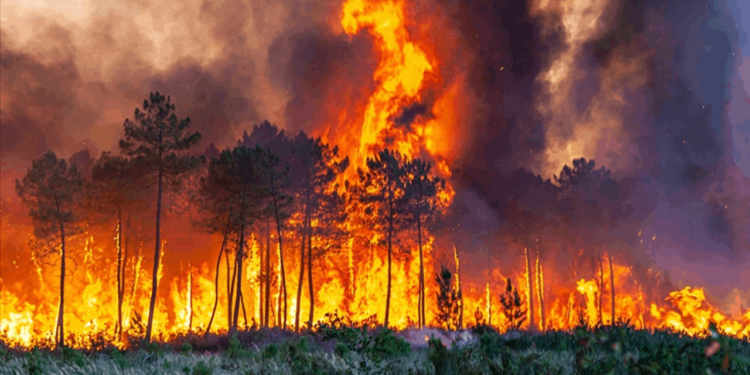 CHP'li Erhan Adem'den Orman Muhafaza Personelinin Erken Emekli Edilmesine Tepki