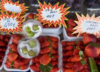 Canı çekene, 'adet' satılıyor; nektarin, şeftali 150, erik 100 lira!