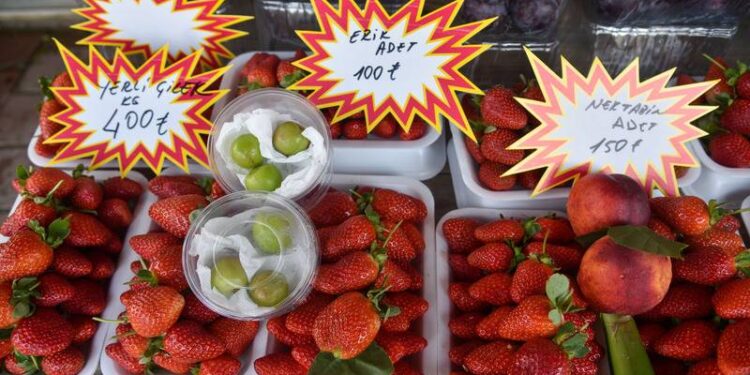 Canı çekene, 'adet' satılıyor; nektarin, şeftali 150, erik 100 lira!