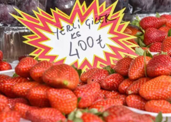 Çileğin adedi 15, kilosu 400 lira oldu