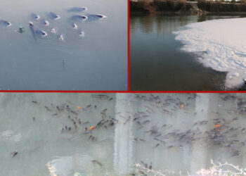 Çocuklar Hastalanmaya Başladı, Herkes Diken Üstünde! Çukurova'nın Can Suyundan Zehir Akıyor