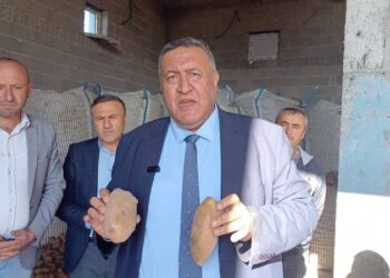 Durum çok vahim, binlerce ton patates çürümeden kamu satın alıma bir an önce başlamalıdır!