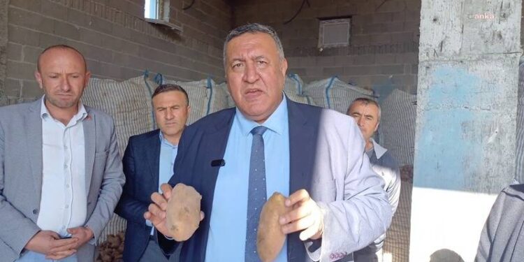 Durum çok vahim, binlerce ton patates çürümeden kamu satın alıma bir an önce başlamalıdır!