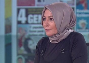 Elif Çakır: Türkiye'de cezaevlerinde 'vicdanları yaralayan' bir tablo var