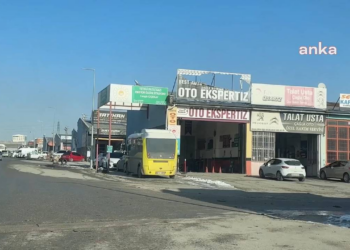 Eskiden randevu ile araç alırdık, şimdi sinek avlıyoruz!