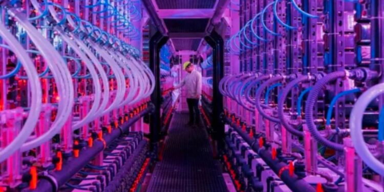 Gıda üretiminde fütürist bir yaklaşım: Yemek için yosun yetiştirmek