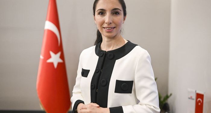 Hafize Gaye Erkan 1 milyon dolar topladı