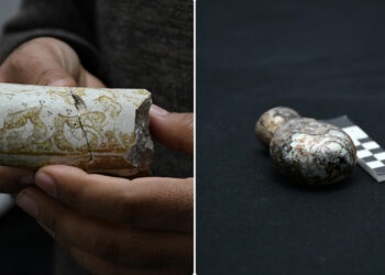 Hasankeyf'te Bulundu... Tam 800 Yıllık! Üstündeki Figür Dikkat Çekti