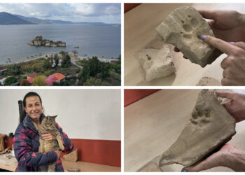 Herakleia Antik Kenti'ndeki kazılardan çıkarılan eserlerde pati izlerine rastlandı