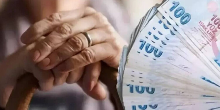 İPA Verileri Ortaya Koydu: İki Emekli Ayda 7 Gün Aç Geziyor