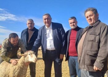 İktidar, ithalatın hayvancılıkta çözüm olmadığını artık görmelidir!