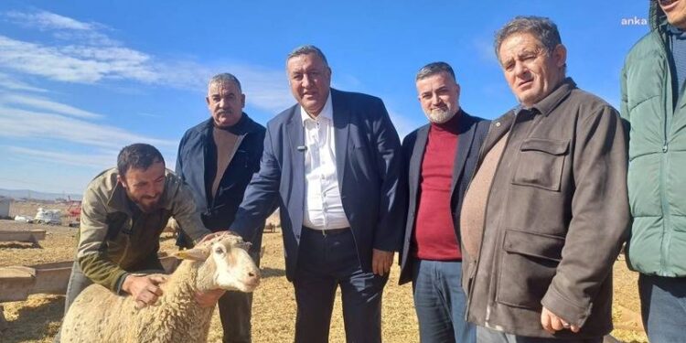 İktidar, ithalatın hayvancılıkta çözüm olmadığını artık görmelidir!