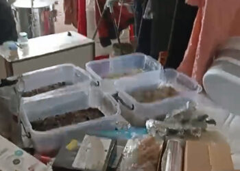 Jandarmadan Dev Uyuşturucu Operasyonu: Tam 110 milyon TL Değerinde...