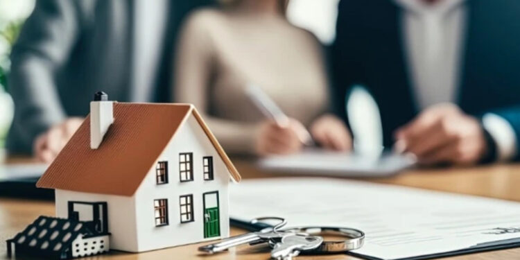 Kadınların konut alımı, Cumhuriyet tarihinin zirvesinde