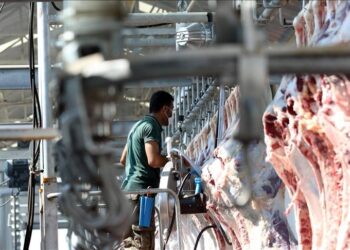 Kesimhanelere kamera mecburiyeti geliyor