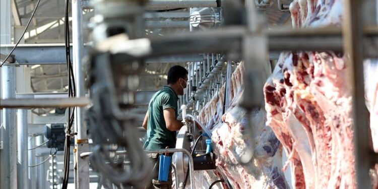 Kesimhanelere kamera mecburiyeti geliyor