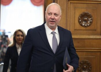 Koalisyonda Türk partisi de var