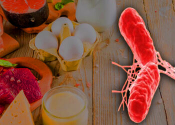 'Kumpirle Ölüm'den Sonra... Bu Yiyeceklere Dikkat! Salmonella çıkabilir