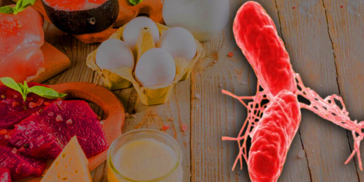 'Kumpirle Ölüm'den Sonra... Bu Yiyeceklere Dikkat! Salmonella çıkabilir