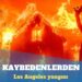 Los Angeles yangını: Evini kaybedenlerden dava