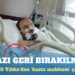 MHP’li Yıldız’dan ‘hasta mahkum’ çağrısı: İnfazı geri bırakılmalı