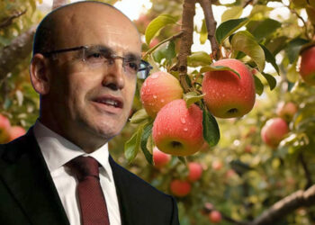 Mehmet Şimşek elma bahçelerine maliyecileri gönderdi: Ağaçları tek tek sayıp vergi istediler