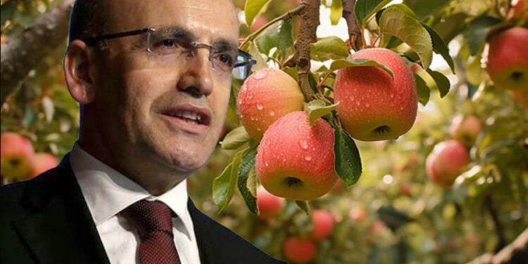 Mehmet Şimşek elma bahçelerine maliyecileri gönderdi: Ağaçları tek tek sayıp vergi istediler