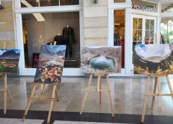 Mersin'de nesli tehlike altındaki "Toros kurbağası" sergisi