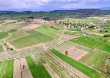 Miras yoluyla tapu sahibi olanlar dikkat: Bakanlık, atıl arazileri kiralayacak