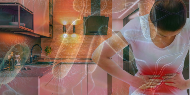 Mutfaktaki Gizli Tehlike Ölüm Saçıyor, Bulaş Riskine Dikkat