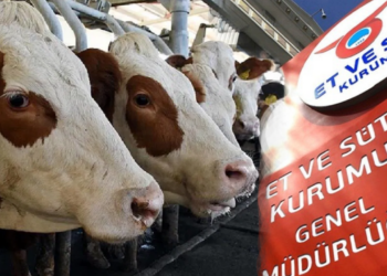 Ramazan Ayı Öncesi Fahiş Fiyat Önlemi! 40 Bin Canlı Hayvan Alacak