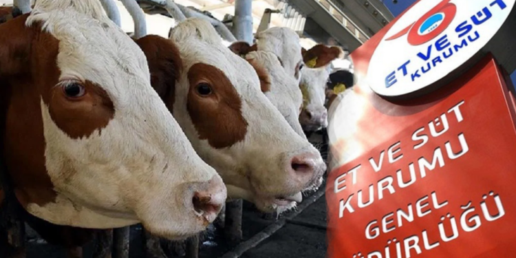 Ramazan Ayı Öncesi Fahiş Fiyat Önlemi! 40 Bin Canlı Hayvan Alacak