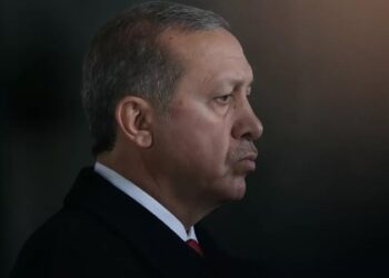 'Rejimin kabul gördüğü adayların seçime girebileceği bir düzene doğru gidiyoruz'