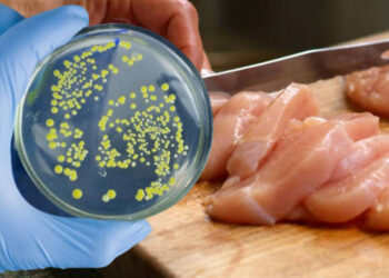 Salmonella İçin Kritik Uyarı! En Çok Nerelerde Bulunduğu Ortaya Çıktı... Oraya Sakın Gitmeyin