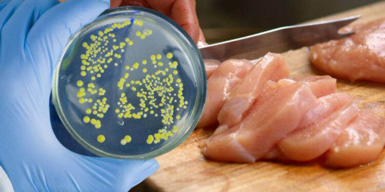 Salmonella İçin Kritik Uyarı! En Çok Nerelerde Bulunduğu Ortaya Çıktı... Oraya Sakın Gitmeyin