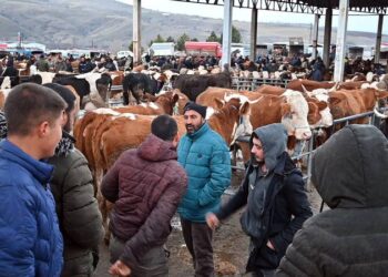 Şap hastalığı nedeniyle Çorum'dan sonra Yozgat'ta da canlı hayvan pazarları kapatıldı