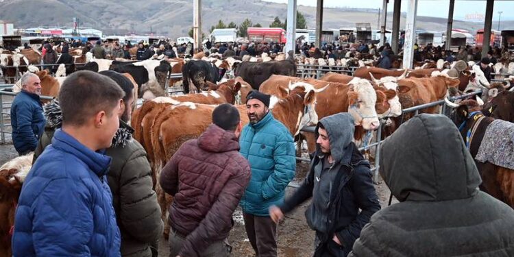 Şap hastalığı nedeniyle Çorum'dan sonra Yozgat'ta da canlı hayvan pazarları kapatıldı
